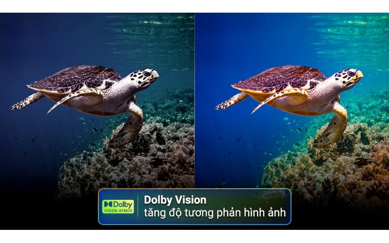 Smart Tivi Toshiba AI 4K 65 inch 65C350RP