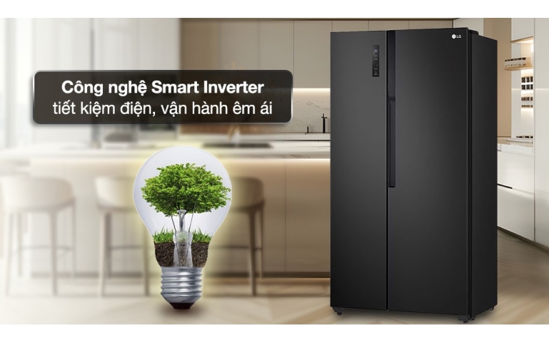 Tủ lạnh LG Inverter 519 lít Side By Side GR-B256BL